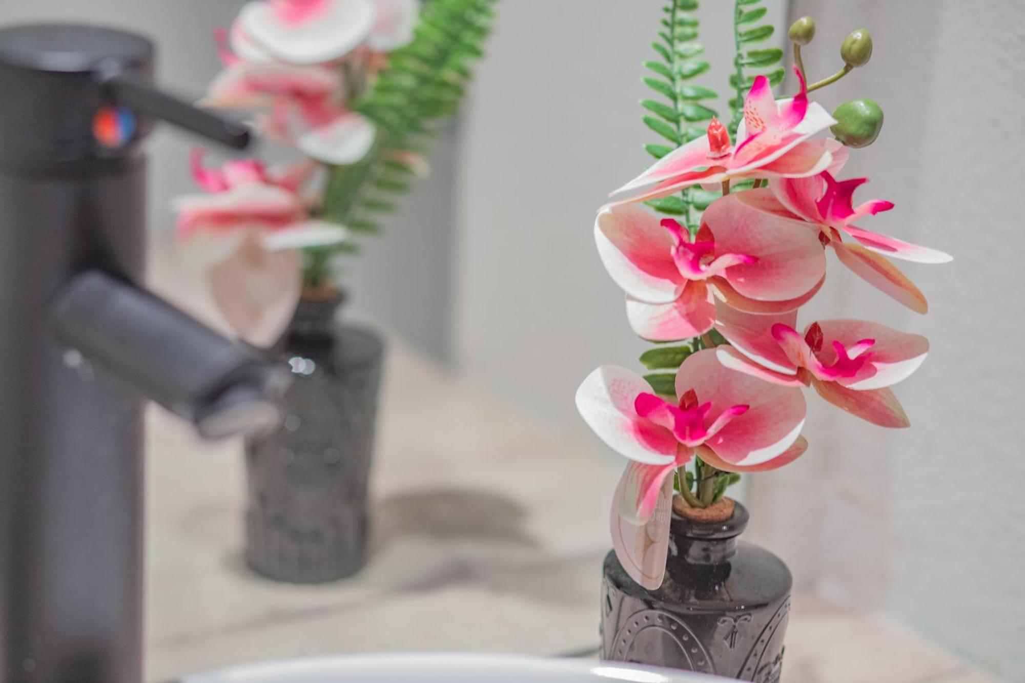 Les Cocons De Lourdes Apartment Bagian luar foto
